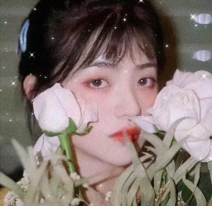 造物的奇迹