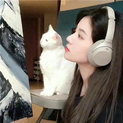 雌雄双谍
